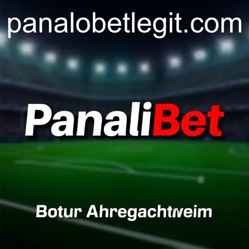 Understanding the User Agreement of PanaloBet